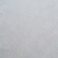 articul-A279650